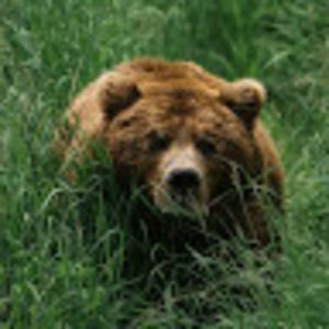 Meet your Posher, Edan